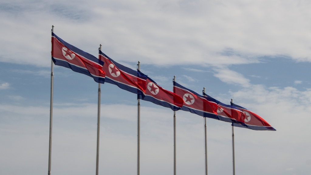North Korean flags