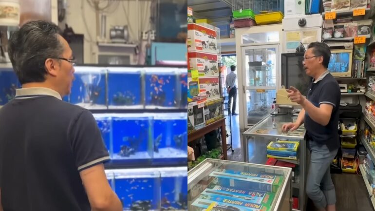 SF pet store owner looking to pass down 40-year-old shop for free under 1 condition