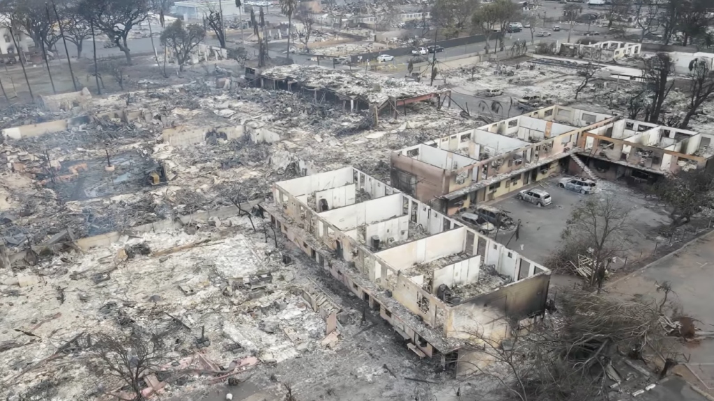 Aftermath of Maui wildfires