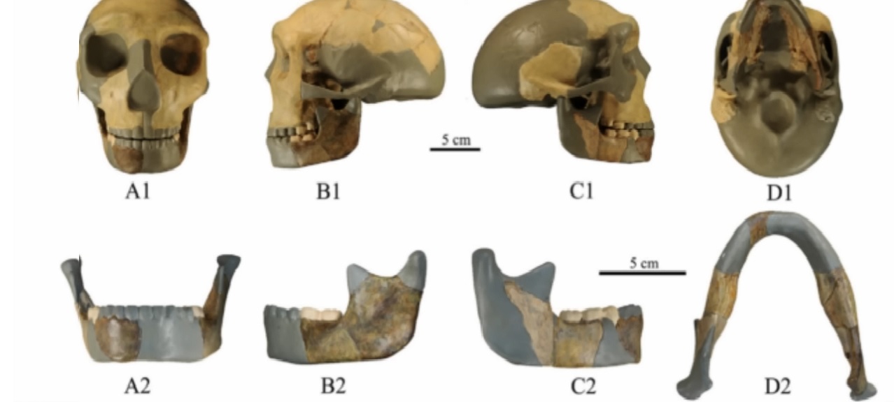 300,000-year-old skull discovered in China could potentially reshape human history - Vimarsana News
