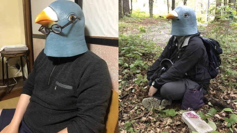 Japanese bird scientist’s unconventional research tactic goes viral
