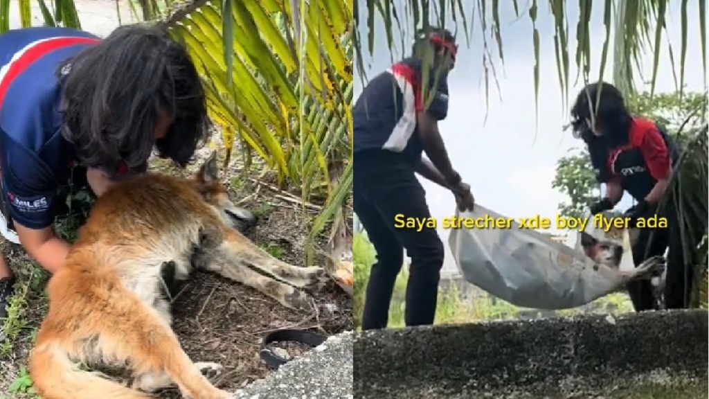 Petron employees and a dog