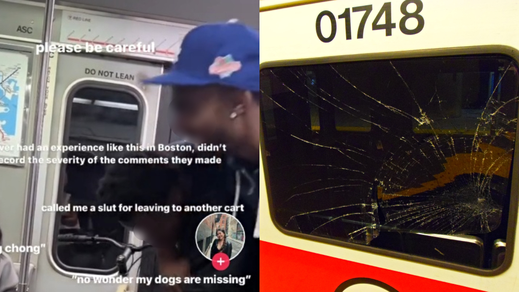 Teen arrested for viral anti-Asian attack on woman on Boston train