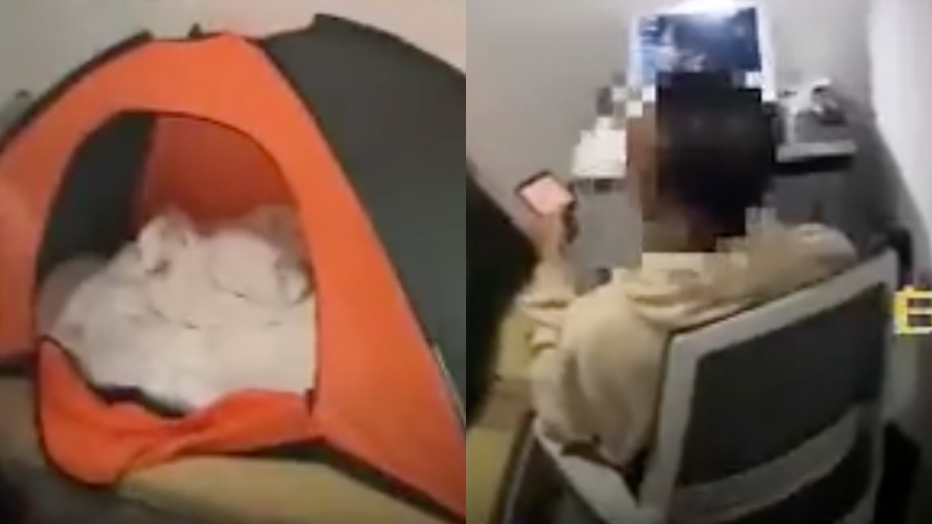 Chinese student discovered secretly living under mall’s stairs for 6 months