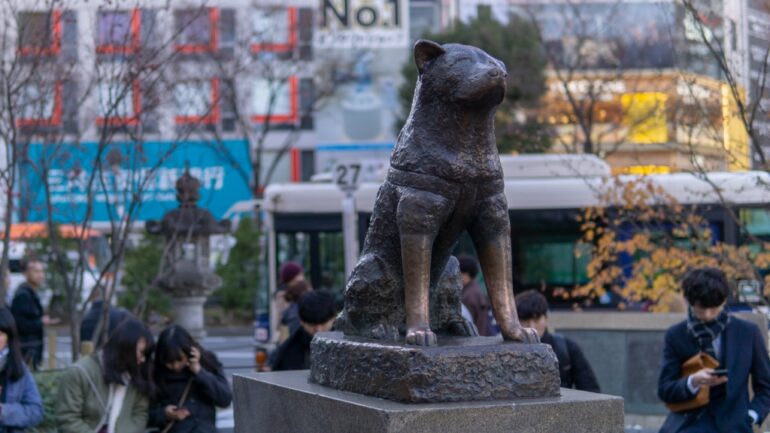 Hachikō, the loyal dog who waited for his owner everyday for 10 years, turns 100