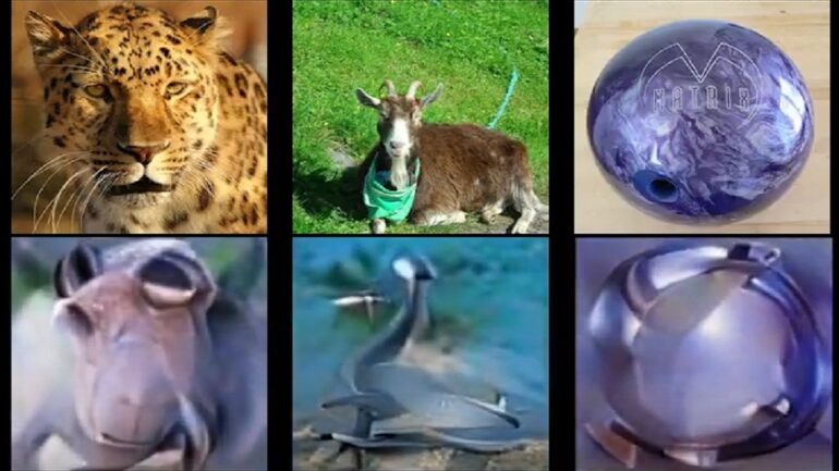 Japanese scientists use AI to create world’s first images from brain activity
