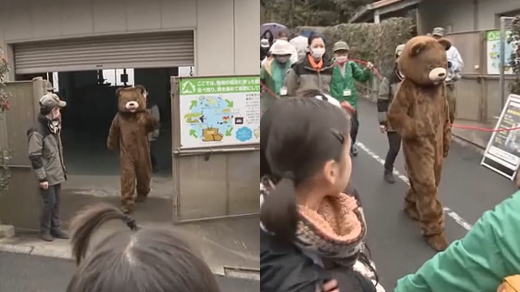 Watch: Man plays escaped ‘bear’ in educational drill at Hiroshima zoo