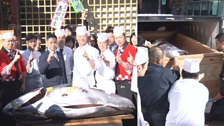 Bluefin tuna fetches nearly $800,000 at Tokyo New Year auction