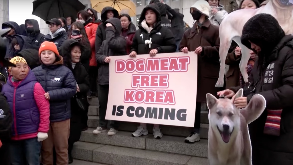 South Korea passes bill to ban dog meat trade