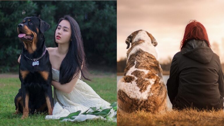 Interacting with dogs boosts humans’ brain waves linked to well-being: study