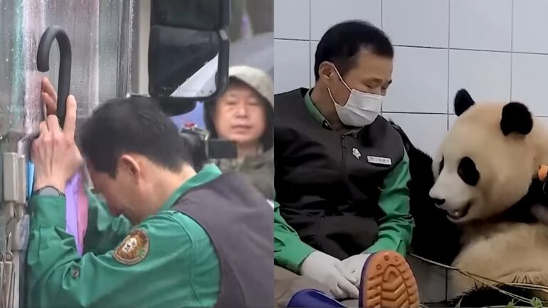 South Koreans bid emotional farewell to beloved panda Fu Bao