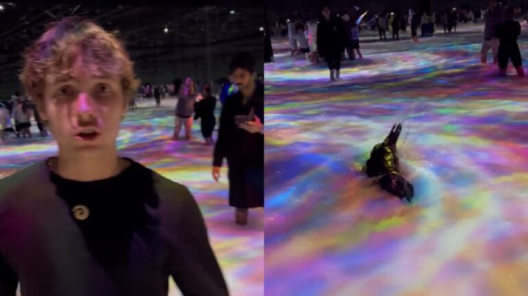 TikToker dragged for filming himself swimming at museum in Tokyo