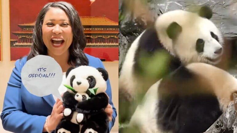 San Francisco Zoo to receive pair of pandas from China