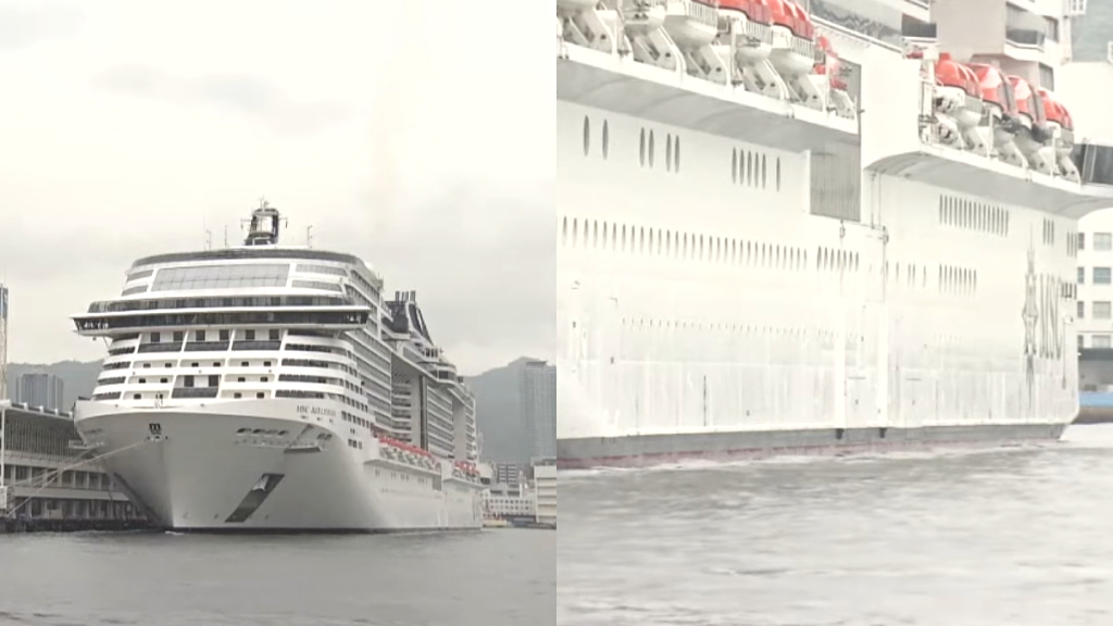 Cruise ship passenger allegedly climbs down rope to sneak into Japan