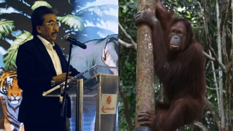 Malaysia’s ‘Orangutan Diplomacy’ draws backlash for alleged hypocrisy