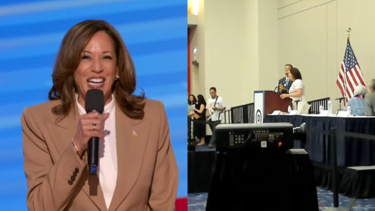 AAPI Democratic leaders stress importance of Asian voters for Harris