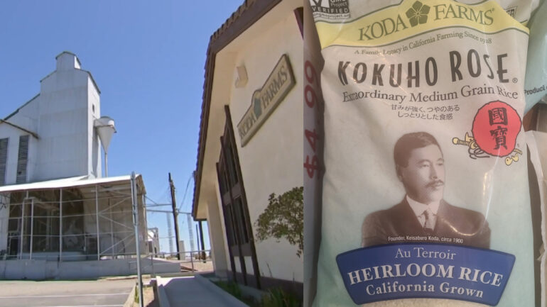 Family-owned Koda Farms closes after nearly a century in rice business