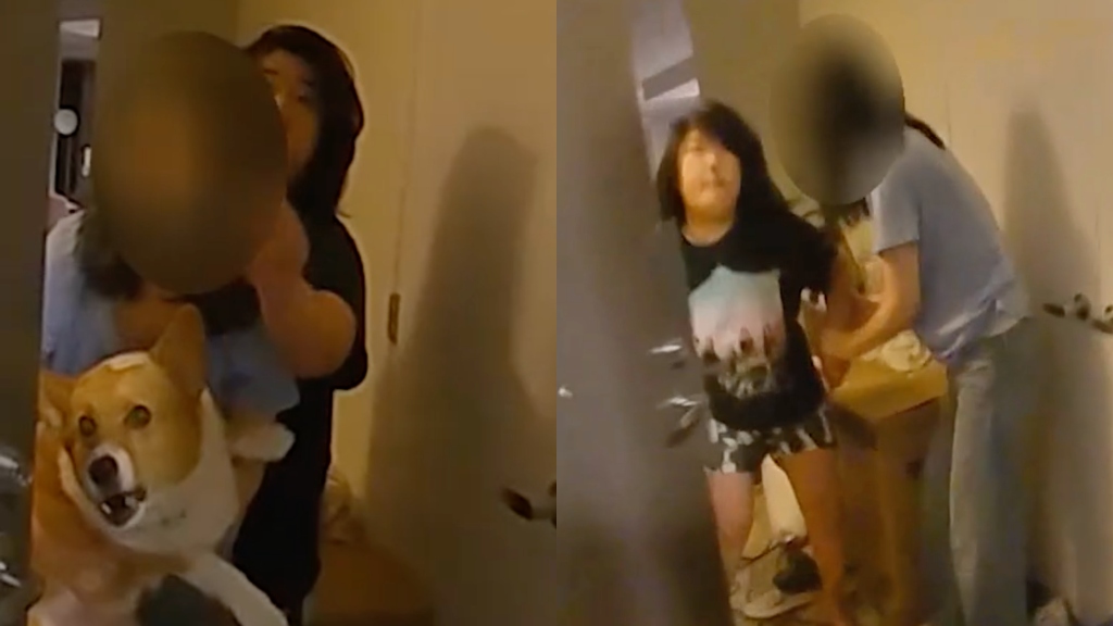 Bodycam footage shows moments leading to fatal shooting of Victoria Lee by NJ police
