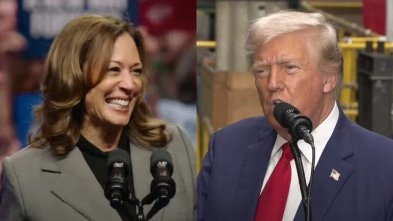 Asian Americans decisively choose Harris over Trump in new poll
