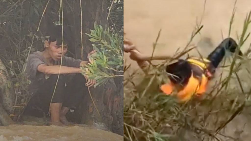 Vietnamese man survives flood by clinging to tree for 9 days