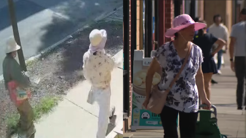 ‘Blessing’ scams prey on elderly Asian women in Chicago