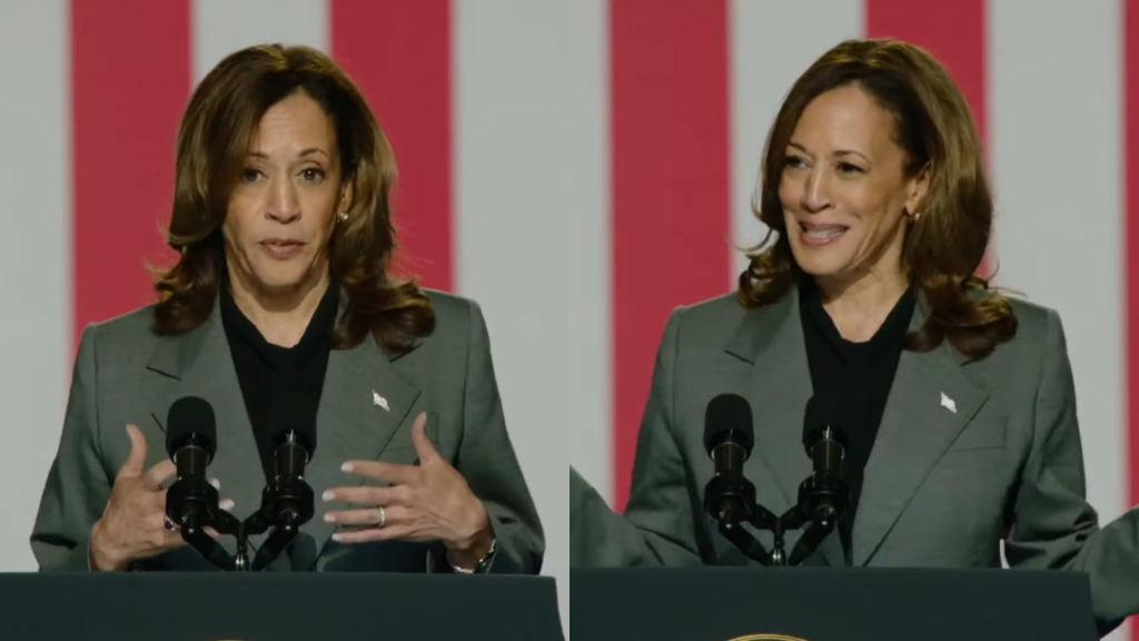 Korean American voters in Georgia are turning away from Kamala Harris