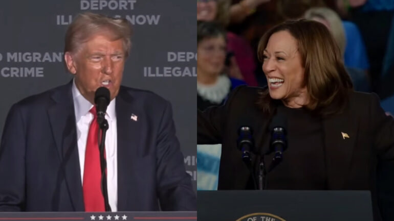 Harris leads Trump among South Asians in battleground states: poll