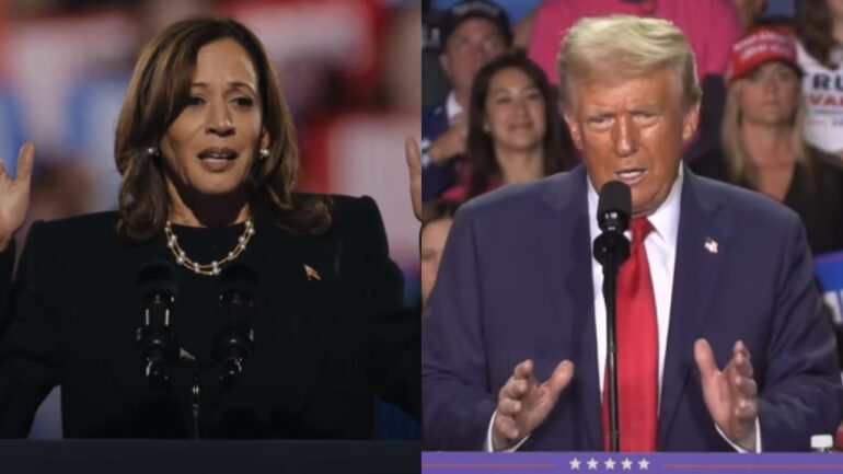 Chinese Americans hit with culturally specific election disinformation