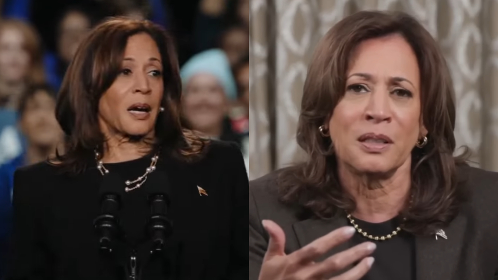 Kamala Harris 2028 presidential run sees sagging support: poll