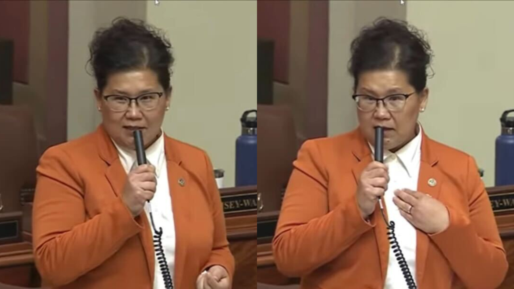 Minnesota Hmong American lawmaker responds to backlash over her immigration story