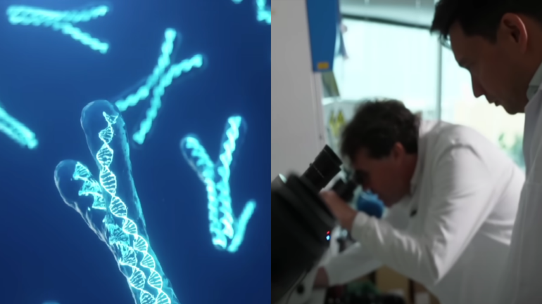 Scientists launch controversial project to create the world’s first artificial human DNA