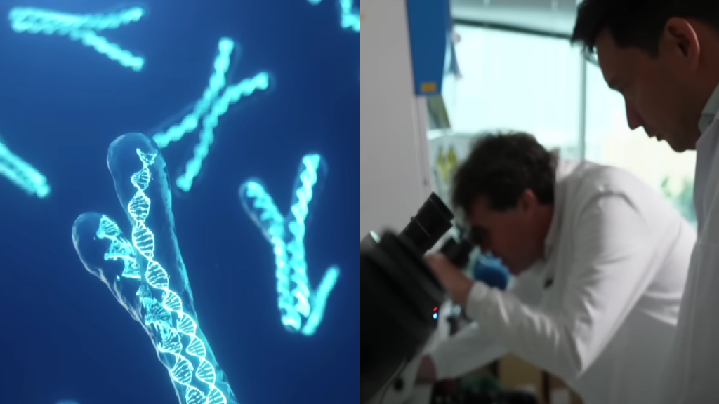Scientists launch controversial project to create the world’s first artificial human DNA