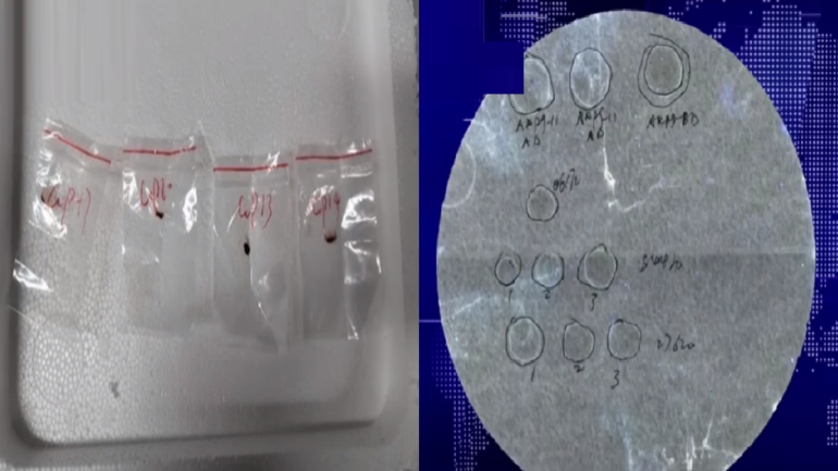 U. of Michigan faces federal probe after Chinese scientists charged with smuggling fungus