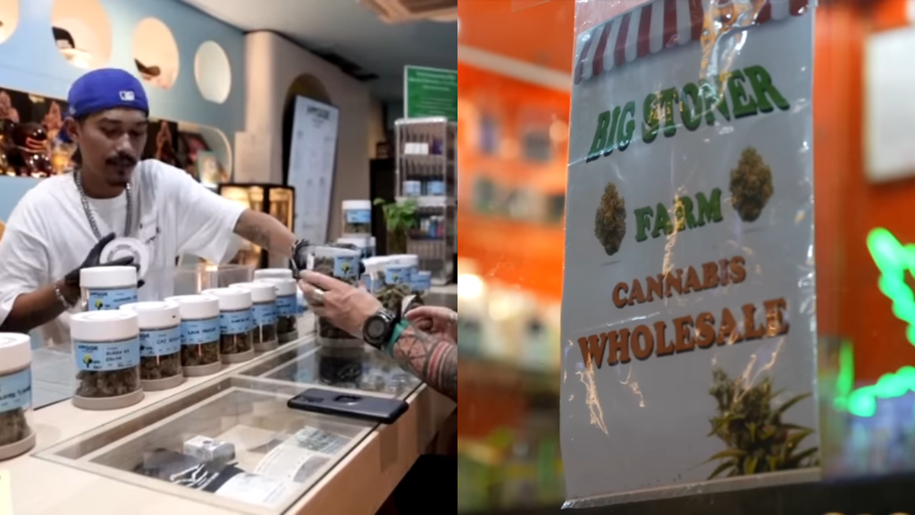 Thailand reverses historic cannabis legalization