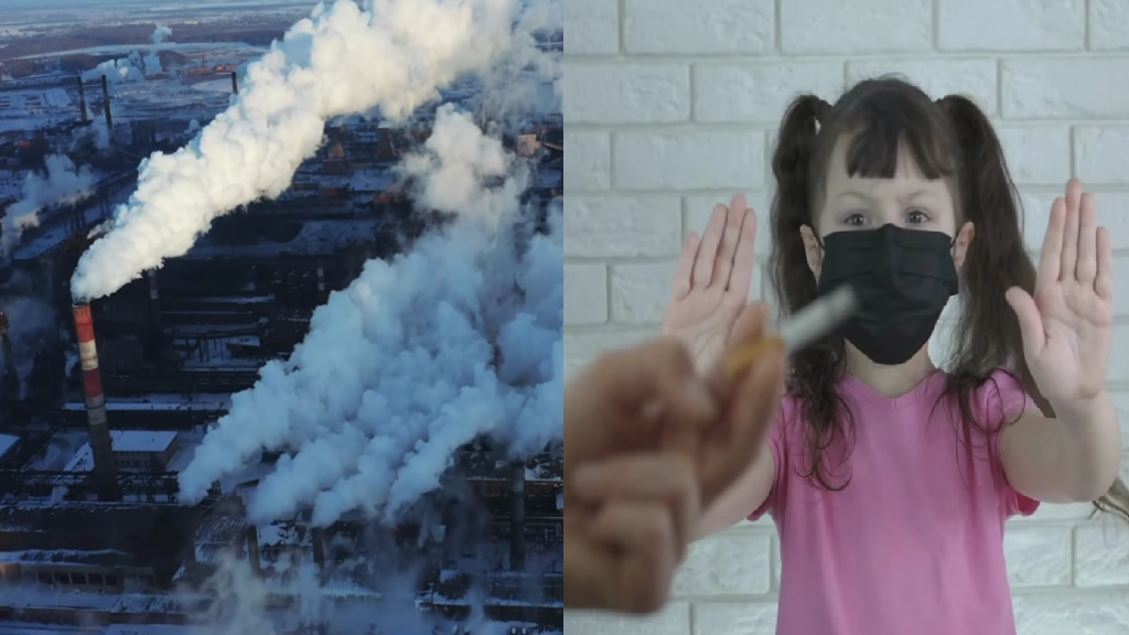 Air pollution a major factor in lung cancer among never-smokers: study