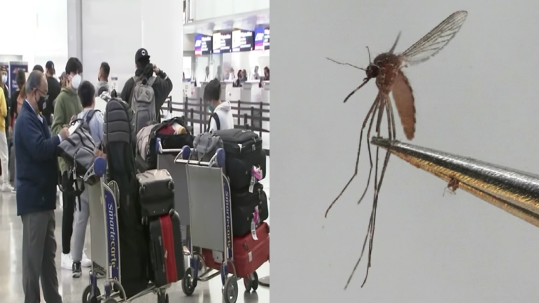 CDC issues travel alert as chikungunya outbreak surges in China