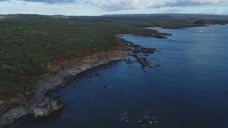 Native Hawaiian group aims to buy back ancestral land