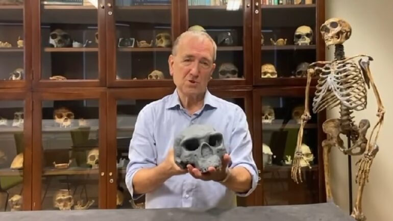 China’s million-year-old skull may rewrite where and when humans began