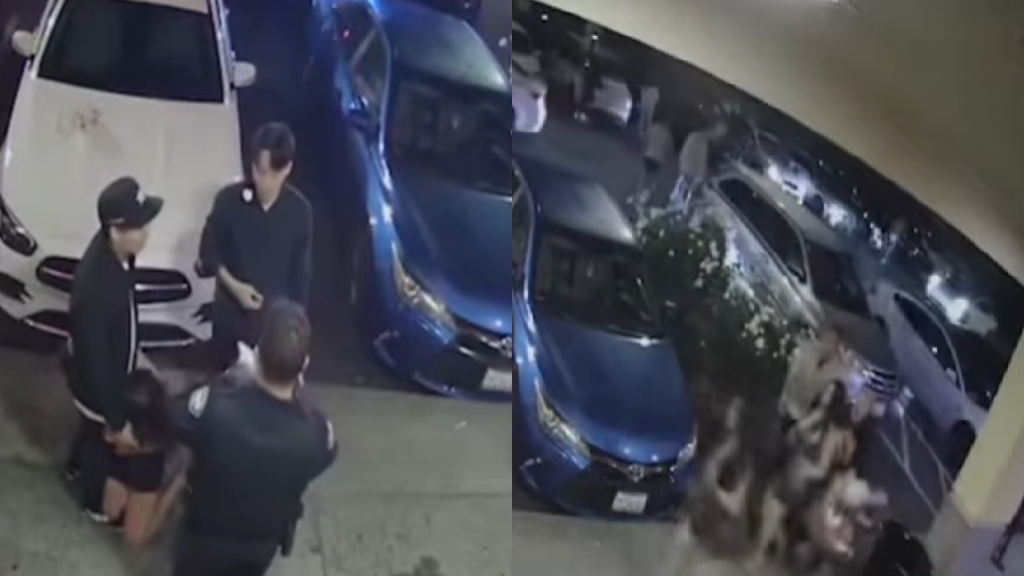 Two killed, two injured by shooter at California Asian restaurant