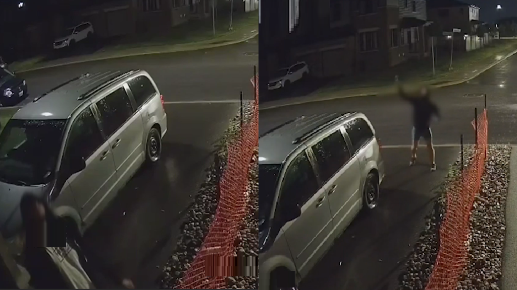 Ottawa man sentenced for hate-motivated harassment of his Asian neighbors