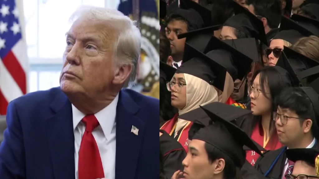 International students self-censor amid fear of visa consequences, survey finds