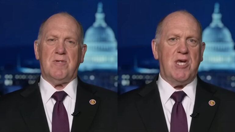 Homan begs Democrats to stop ICE criticism as Asian deaths in custody rise