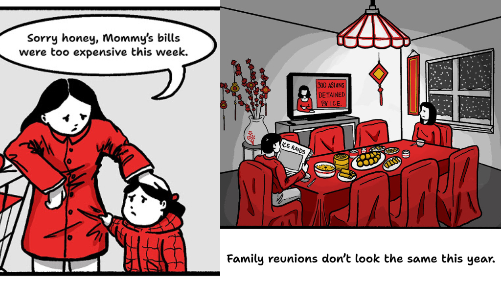 Democrats launch Lunar New Year ads hitting Trump on tariffs, immigration