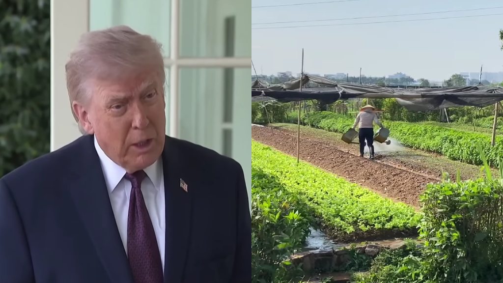 Trump’s Iran war is forcing Thai and Vietnamese farmers to rethink planting rice