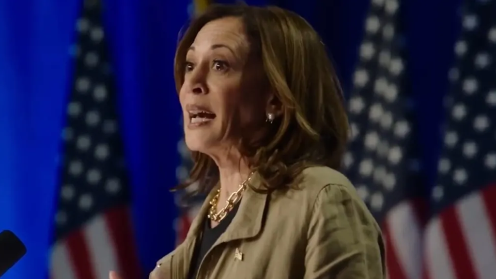 Kamala Harris leads Democrats' early 2028 polls. Will this time be different?